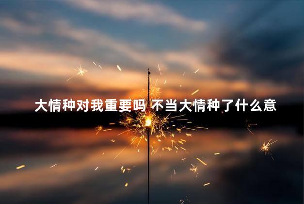 大情种对我重要吗 不当大情种了什么意思